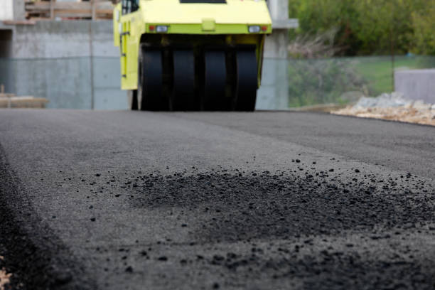 Professional Driveway Pavers in Northdale, FL