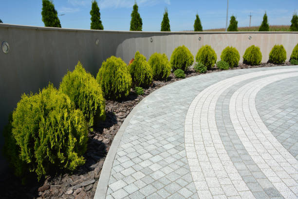 Trusted Northdale, FL Driveway Pavers Experts