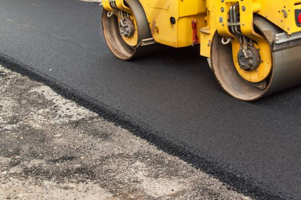 Best Driveway Pavers Near Me  in Northdale, FL